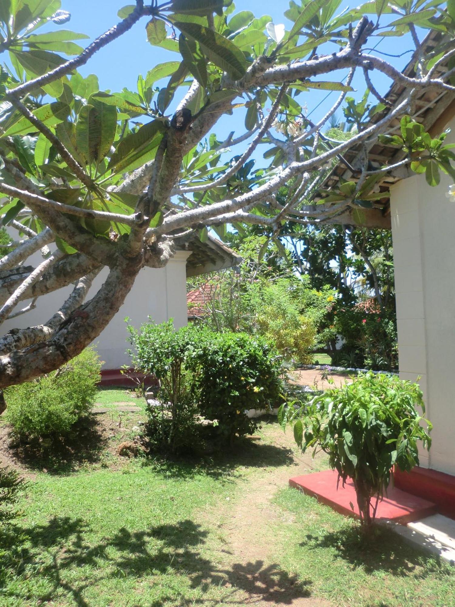 Top Of The Hill Guesthouse Weligama Exterior photo